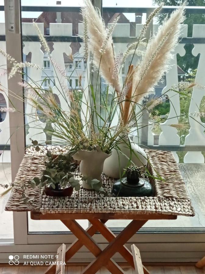 וויריר-דו-לאק Villa Le Lac Cottage Au Bord Du Lac D'Annecy - Chambre Chez L'Habitant - Les Terrasses Du Lac מראה חיצוני תמונה