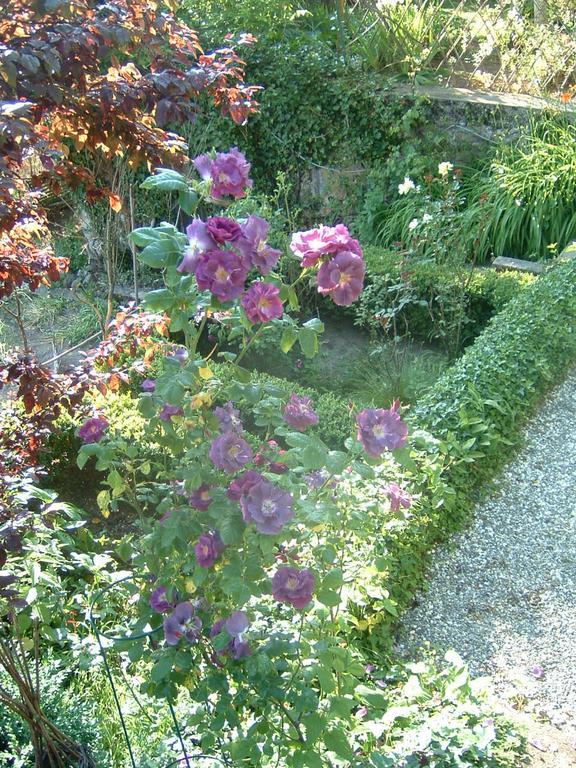 וויריר-דו-לאק Villa Le Lac Cottage Au Bord Du Lac D'Annecy - Chambre Chez L'Habitant - Les Terrasses Du Lac מראה חיצוני תמונה